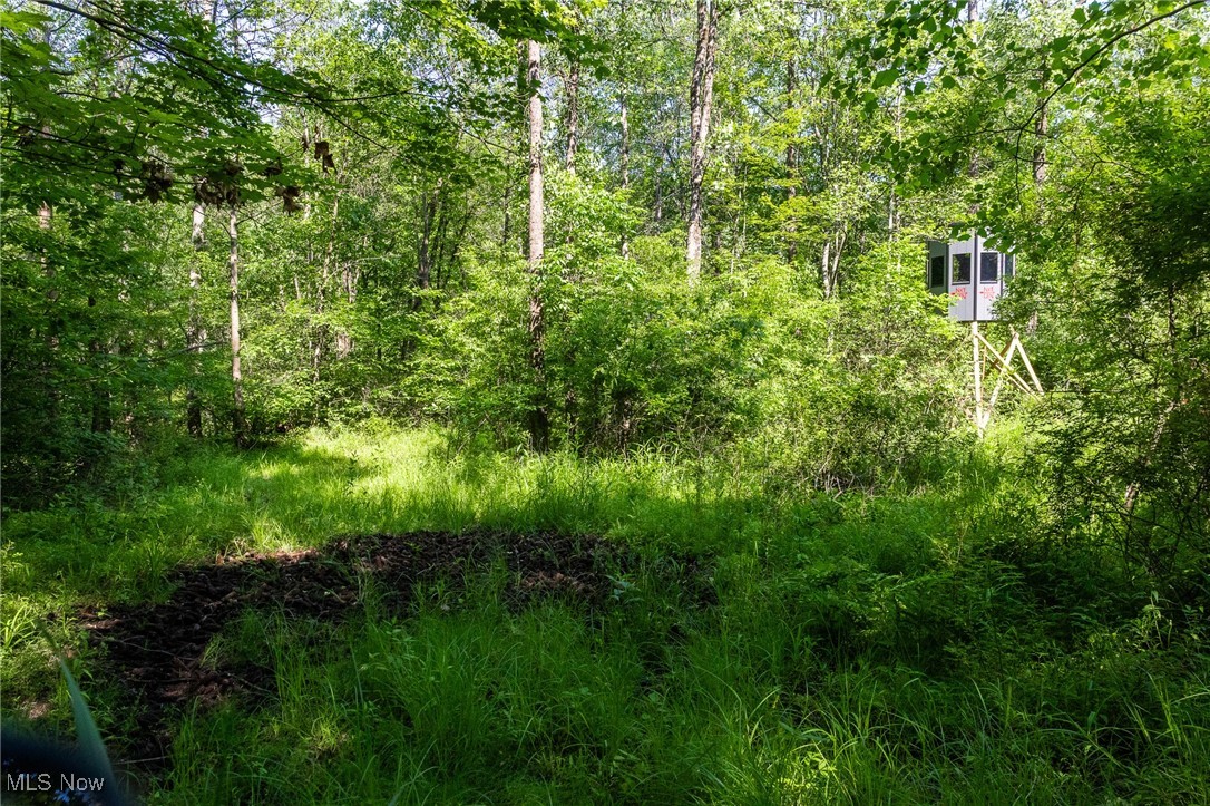 9200 Azalea Road, Dennison, Ohio image 7
