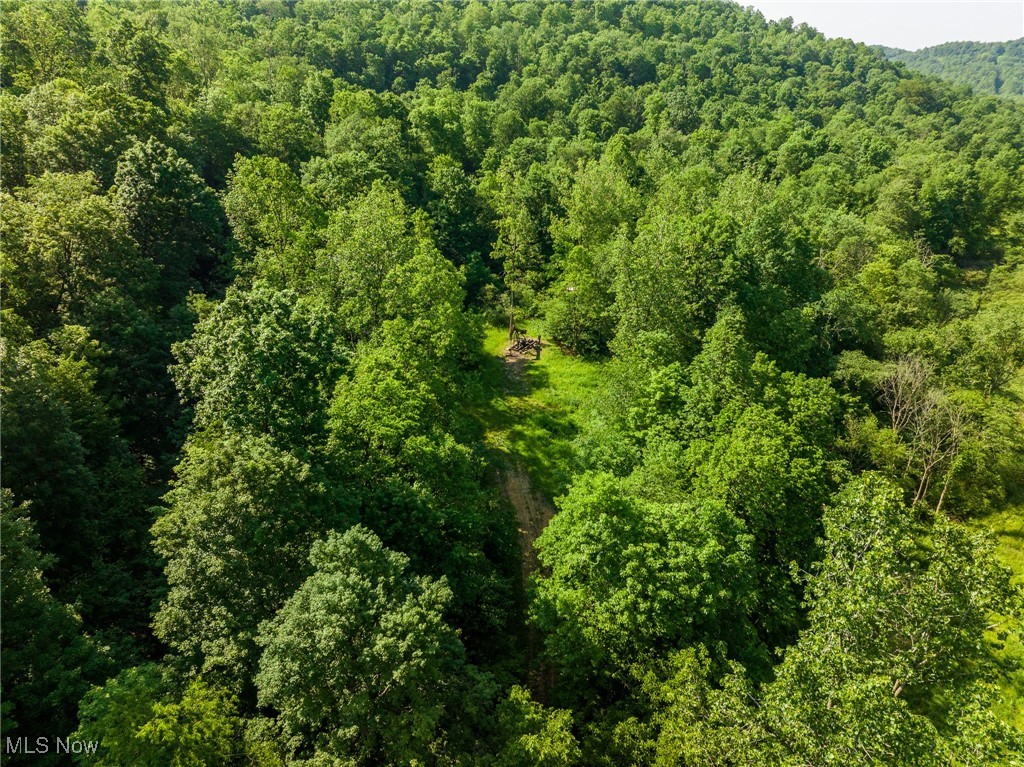9200 Azalea Road, Dennison, Ohio image 31