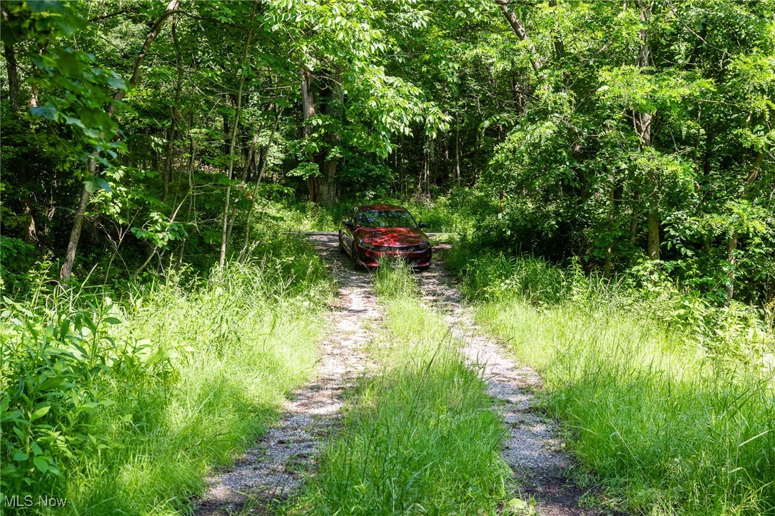 9200 Azalea Road, Dennison, Ohio image 15