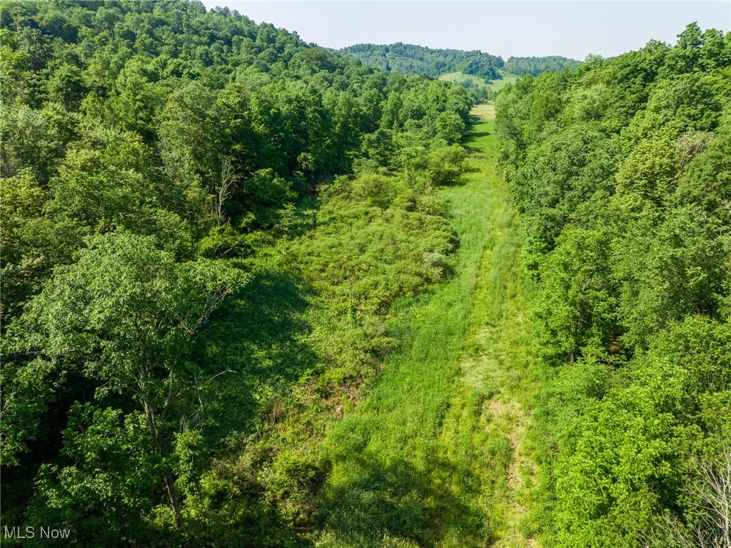 9200 Azalea Road, Dennison, Ohio image 32