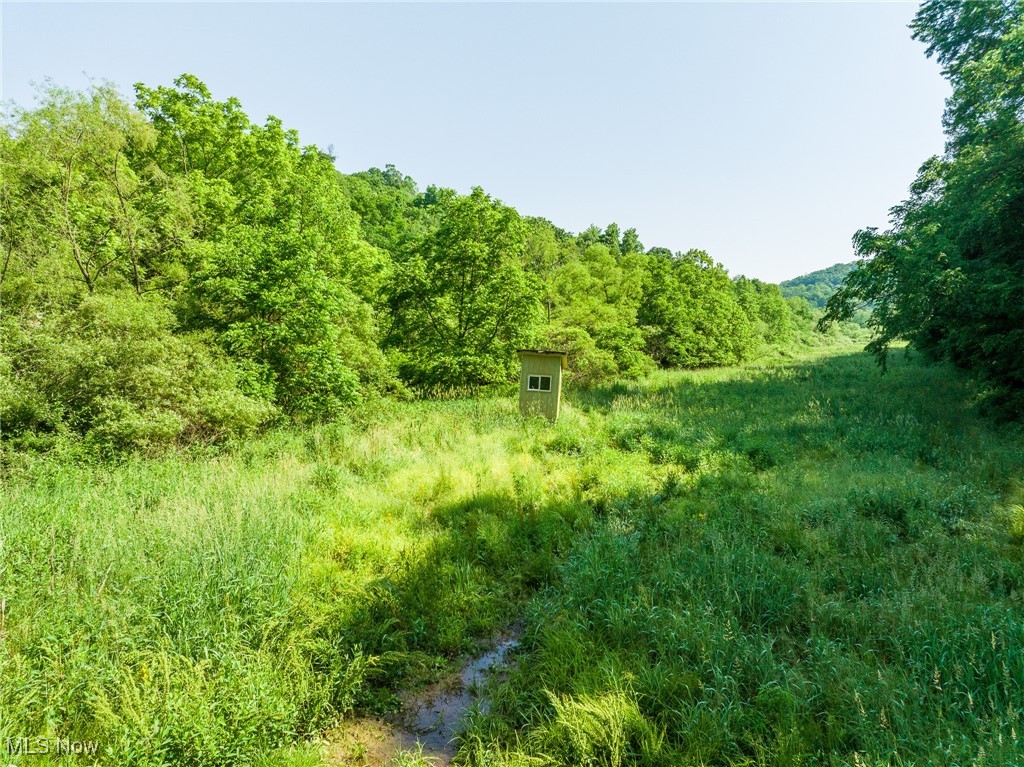 9200 Azalea Road, Dennison, Ohio image 12