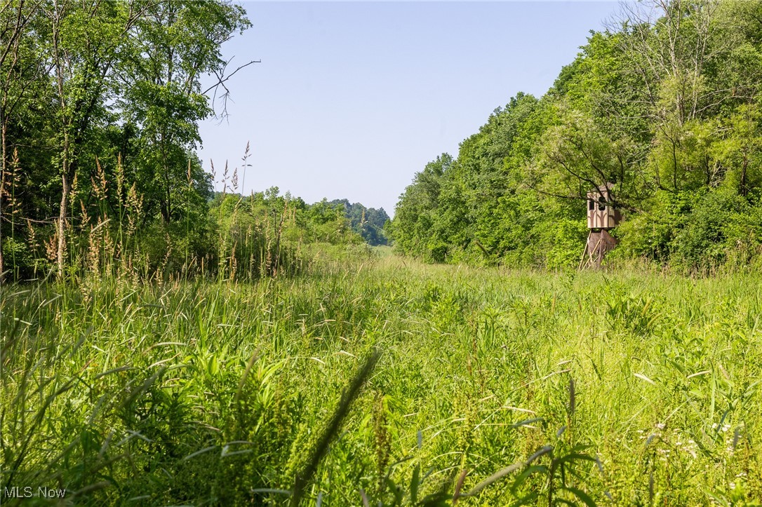 9200 Azalea Road, Dennison, Ohio image 1