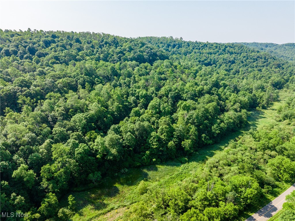9200 Azalea Road, Dennison, Ohio image 43