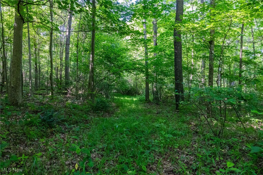 9200 Azalea Road, Dennison, Ohio image 23