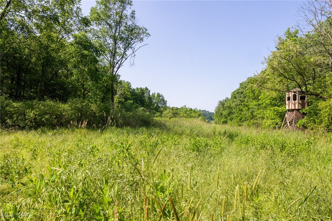9200 Azalea Road, Dennison, Ohio image 4