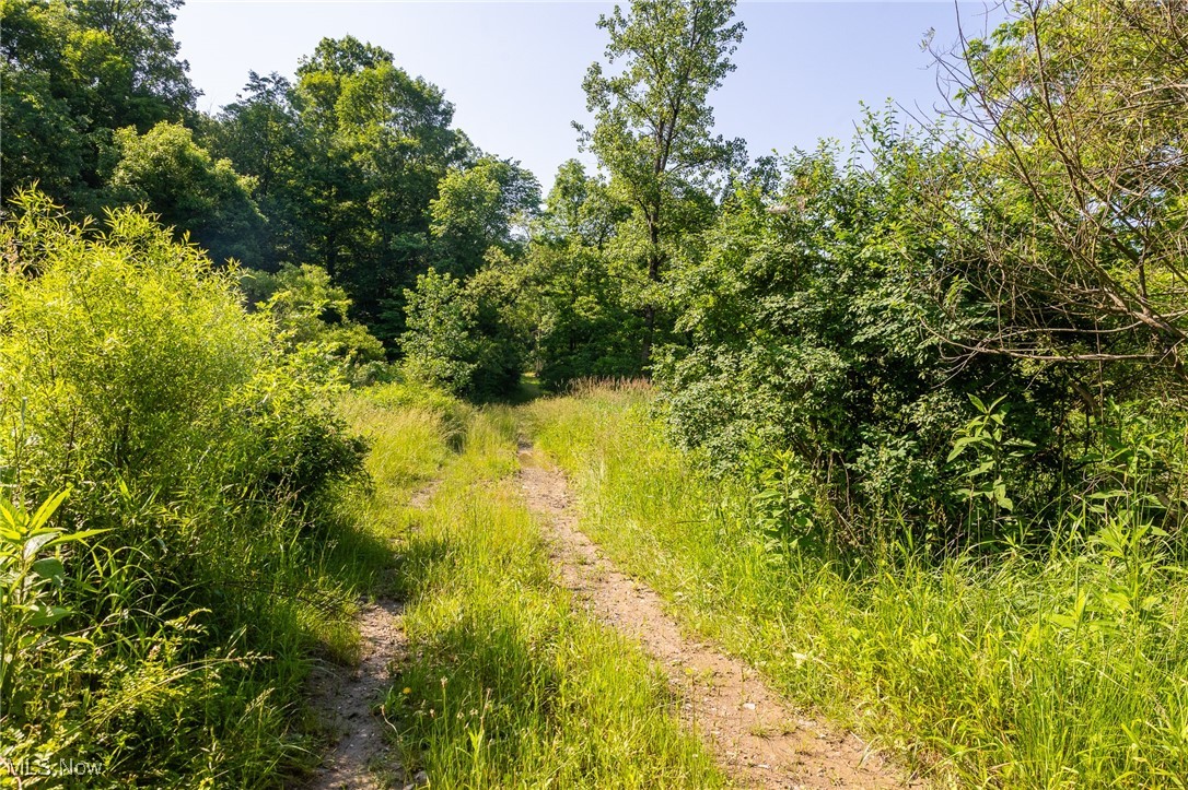 9200 Azalea Road, Dennison, Ohio image 18