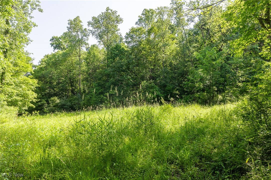 9200 Azalea Road, Dennison, Ohio image 28