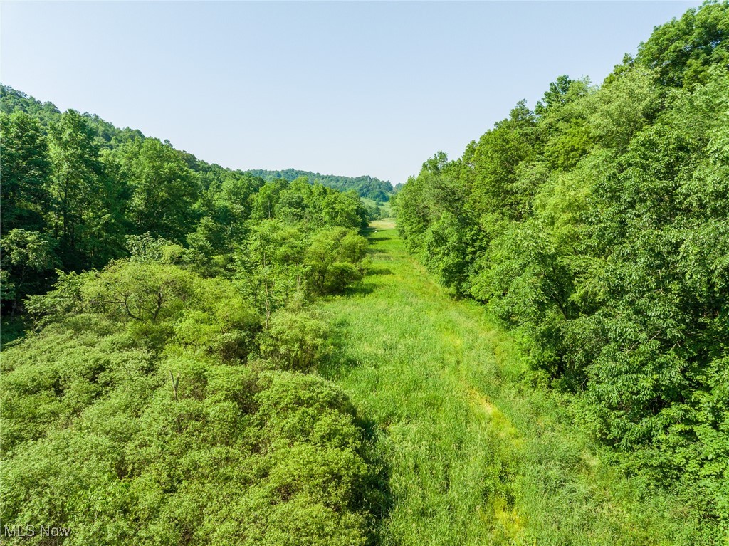 9200 Azalea Road, Dennison, Ohio image 33