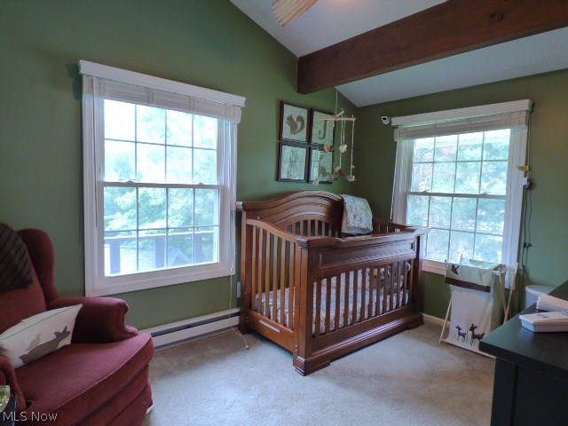 Thunderbird Hills - Residential