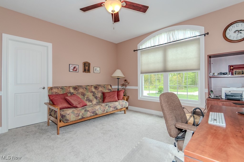 10163 Courtney Lane, Kirtland, Ohio image 33
