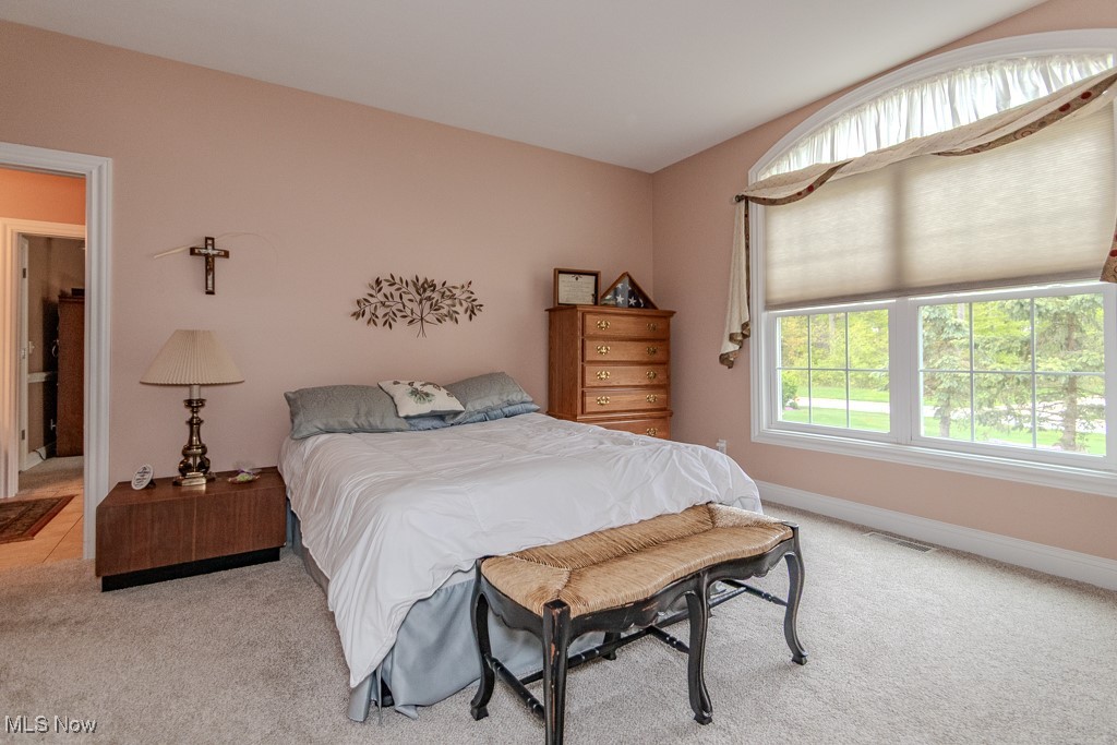 10163 Courtney Lane, Kirtland, Ohio image 31