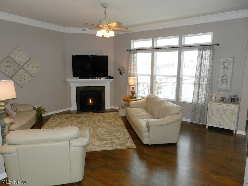 Schneider Reserve - Residential