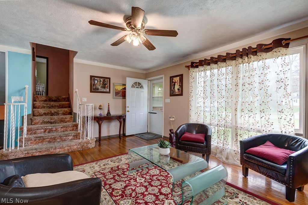 Euclid Manor/Kleimans - Residential