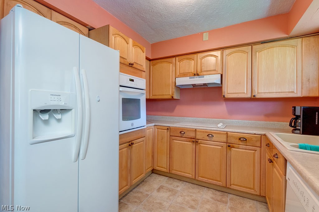 Euclid Manor/Kleimans - Residential