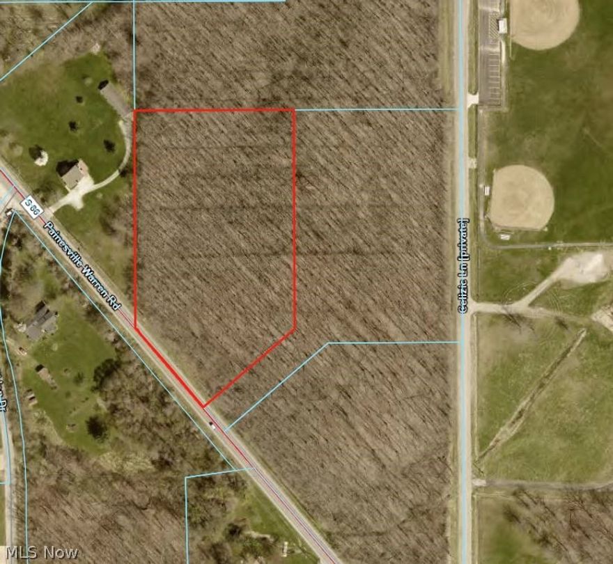You don't want to miss this rare opportunity if you have been searching for a wooded building lot! Nestled in the heart of downtown Leroy, these fully wooded lots offer an ideal setting for your dream home. The property sits adjacent to Leroy Township Park and the ball fields, in close proximity to Capps Pizza and Leroy Country Store, and only minutes from I-90. Bring your builder and start planning your build for this spring. The seller has already completed the soil tests. Additional lots are also available.