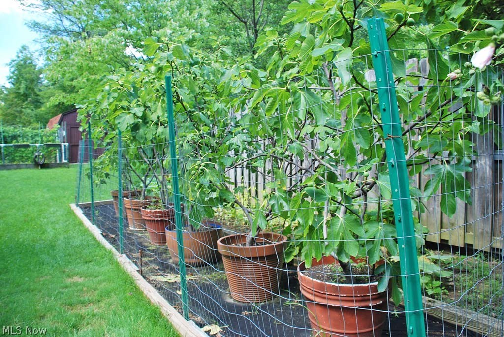 Chestnut Woods - Residential