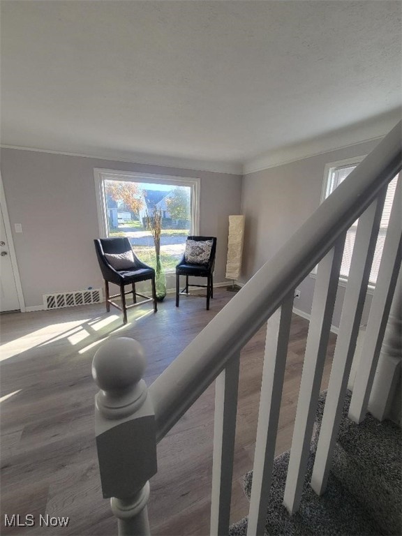 Morrison - Residential