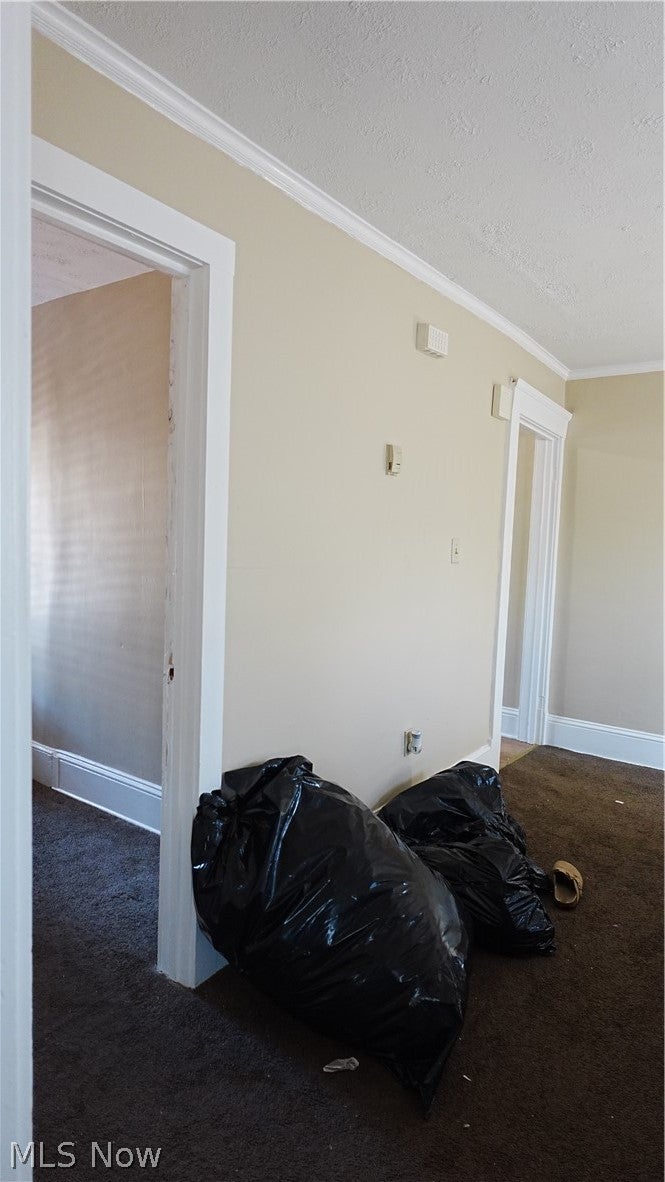 1193 E 169th Street