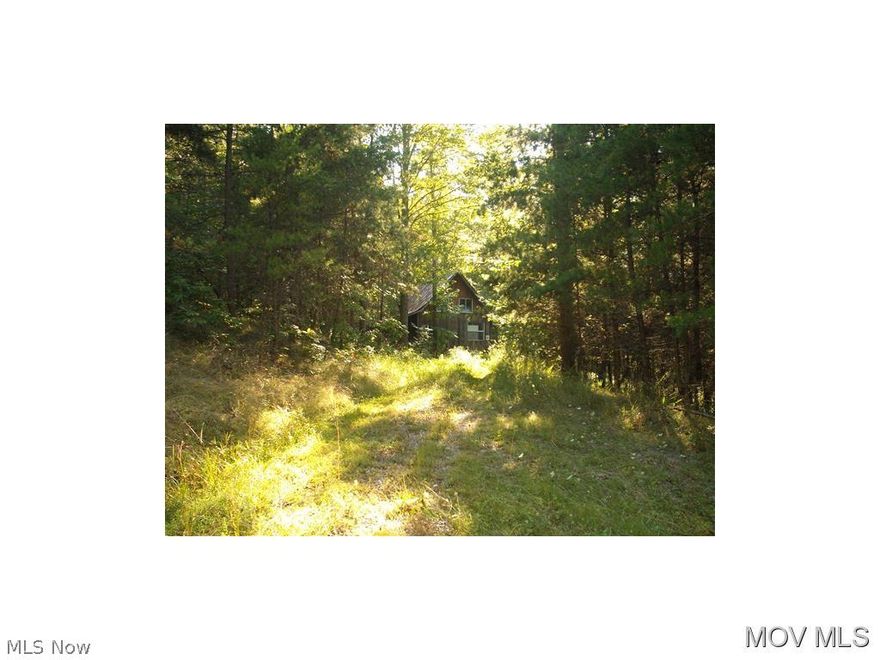 Rustic Cabin and 71.5 acres with Free Gas (APO).  Elem: Harrisville Elementary School  Elem/Bus: Y  JrHigh: Ritchie County Middle School  JrHigh/Bus: Y  High: Ritchie Cty. High  High/Bus: Y  Fire: VOL  Police: SHF  PossFreeGas: Y