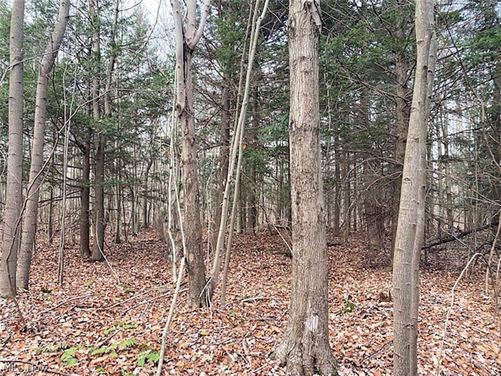 Monroe Sec 36 - Land