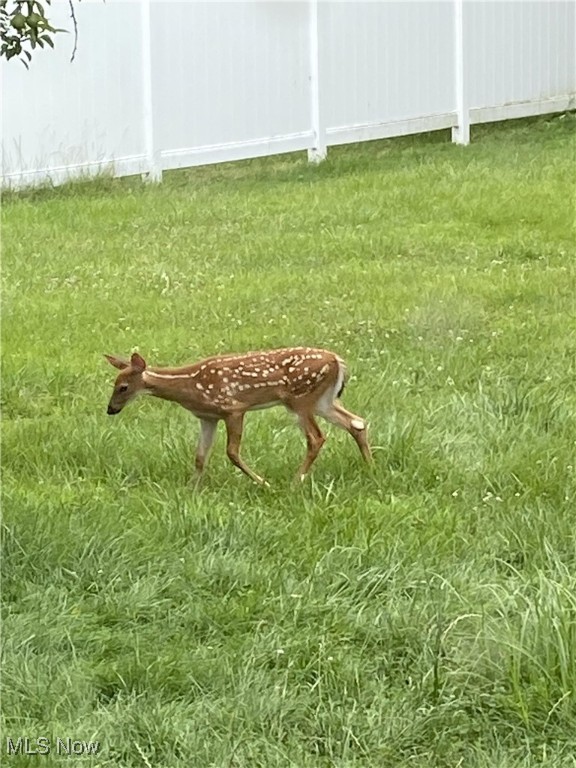 Longview - Residential