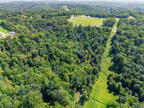 Vacant Land For Sale - Kings Ridge Road<br/> Newcomerstown, OH 43832