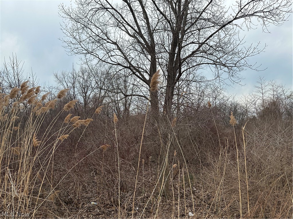 Equestrian Village 2 - Land