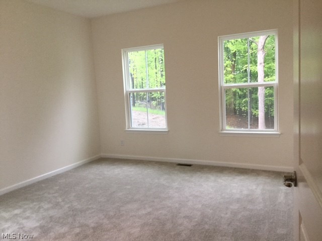 The Enclave at Old Mill Pond - Residential