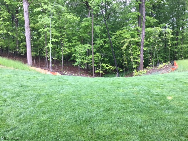 The Enclave at Old Mill Pond - Residential