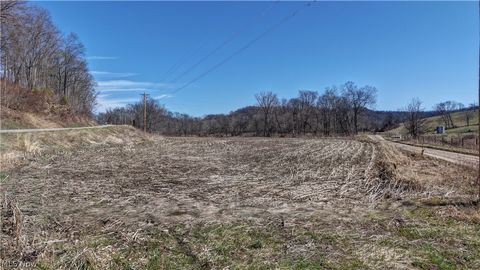 Vacant Land For Sale - 49870 Township Road 189<br/> Fresno, OH 43824