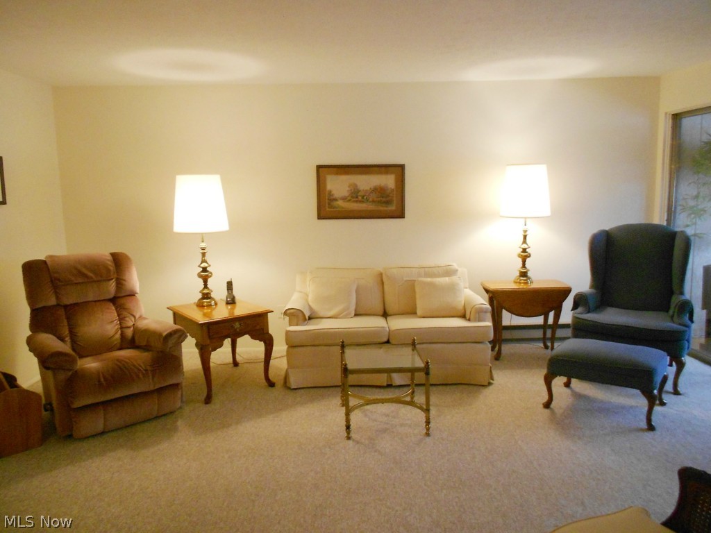 Silver Lake Towers Condo - Residential