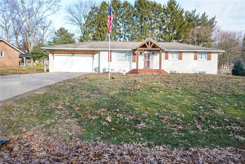 Photo of 4769 Cherimoya Avenue, Akron, OH 44319 (MLS # 5190339)