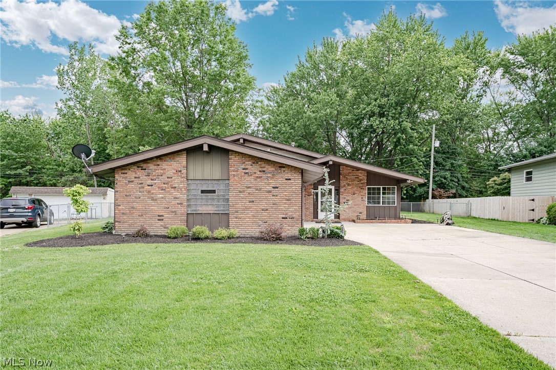 Rose Tree 03 - Residential