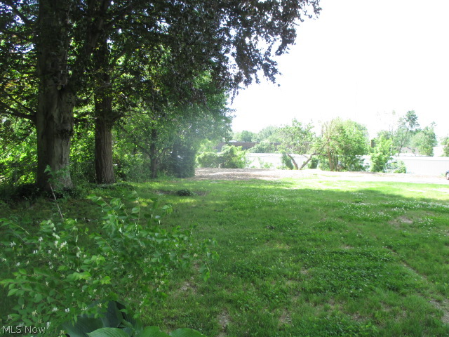 Taylor & Hoyt - Land