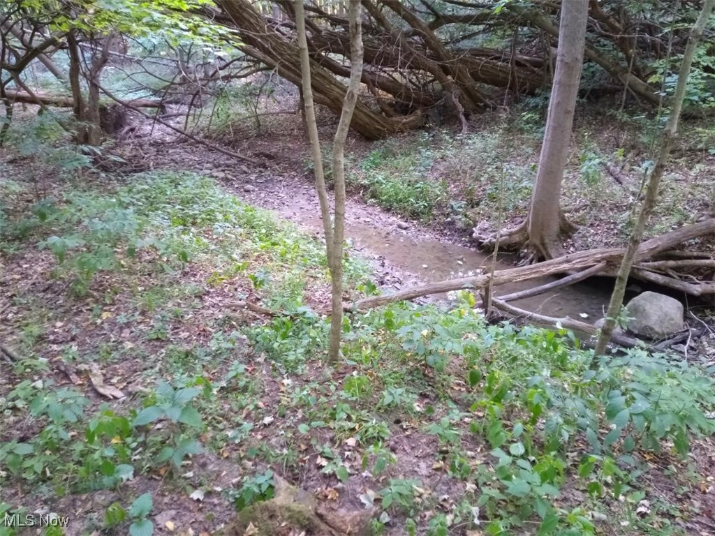 Lodi, Ohio 44254, United States, ,Land,Active,227790