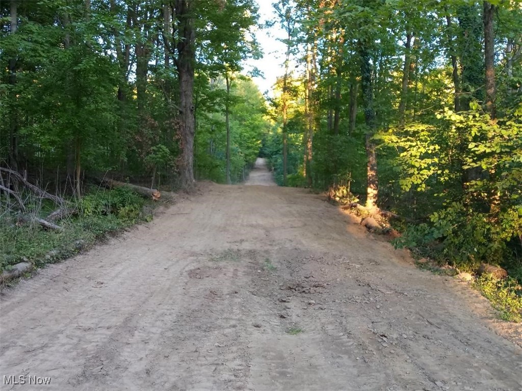 Lodi, Ohio 44254, United States, ,Land,Active,227790 Lodi, Ohio 44254, United States, ,Land,Active,227790