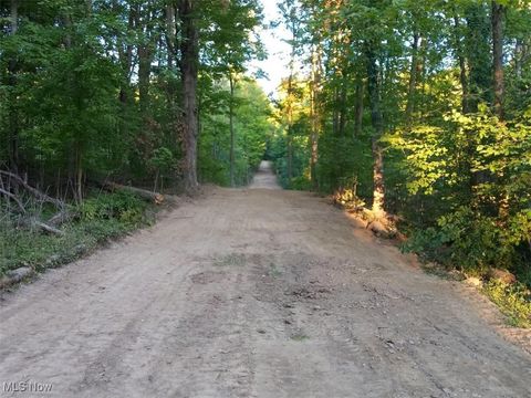 Vacant Land For Sale - 8123 Vandemark Road<br/> Lodi, OH 44254