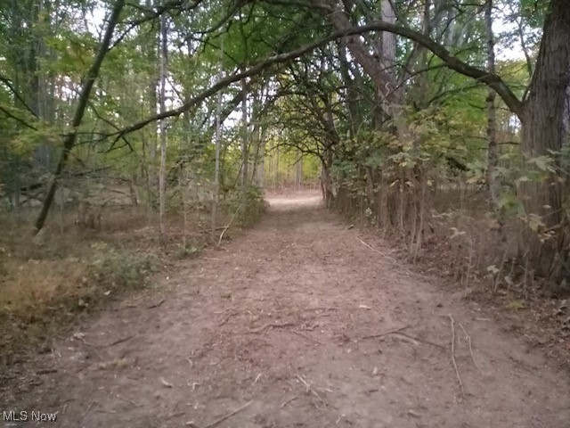 Lodi, Ohio 44254, United States, ,Land,Active,227790