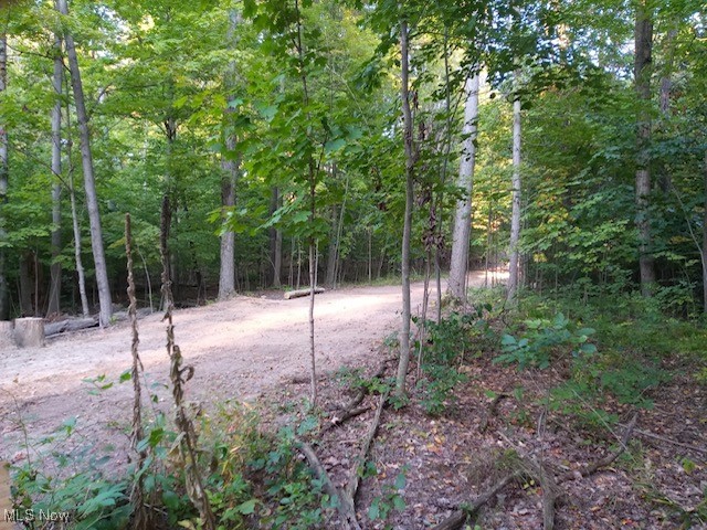 Lodi, Ohio 44254, United States, ,Land,Active,227790