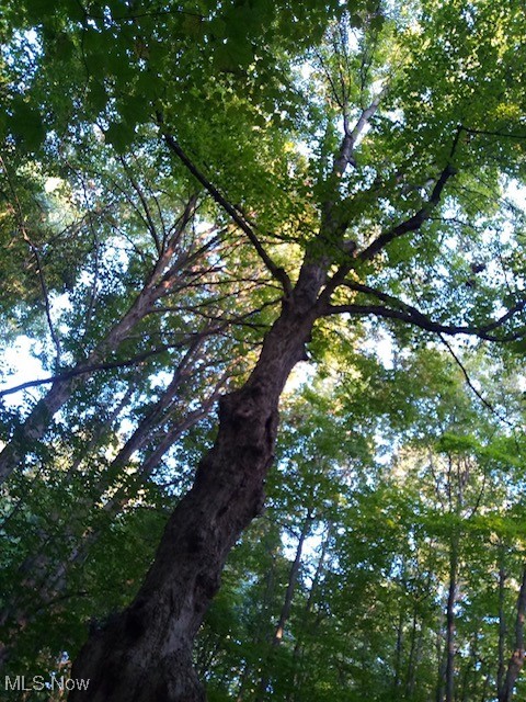 Lodi, Ohio 44254, United States, ,Land,Active,227790