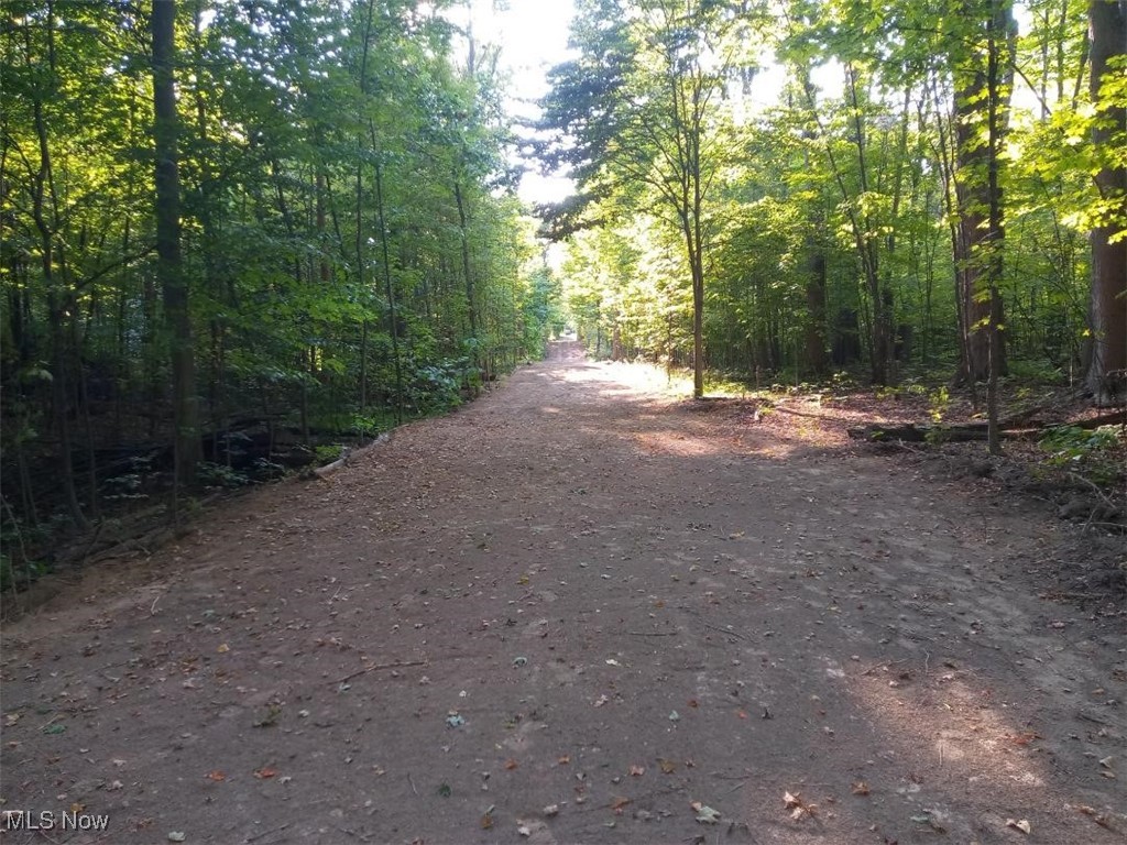 Lodi, Ohio 44254, United States, ,Land,Active,227790