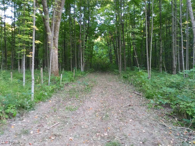 Lodi, Ohio 44254, United States, ,Land,Active,227790