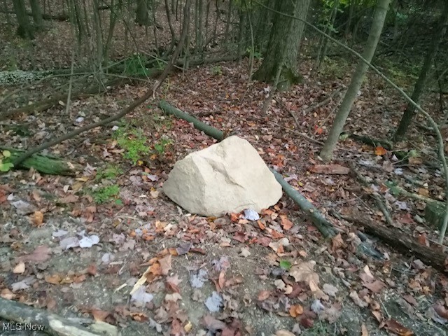 Lodi, Ohio 44254, United States, ,Land,Active,227790