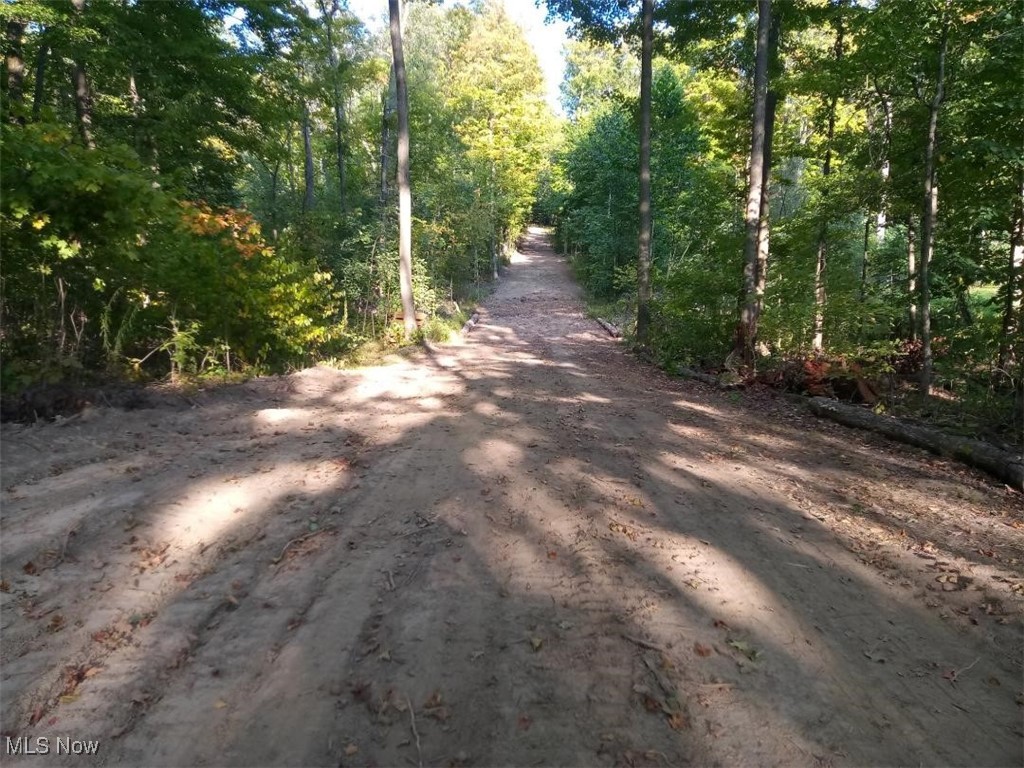 Lodi, Ohio 44254, United States, ,Land,Active,227790