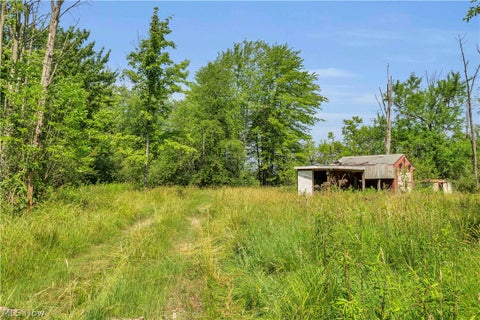 Vacant Land For Sale - Indian Hollow Road<br/> Wellington, OH 44090