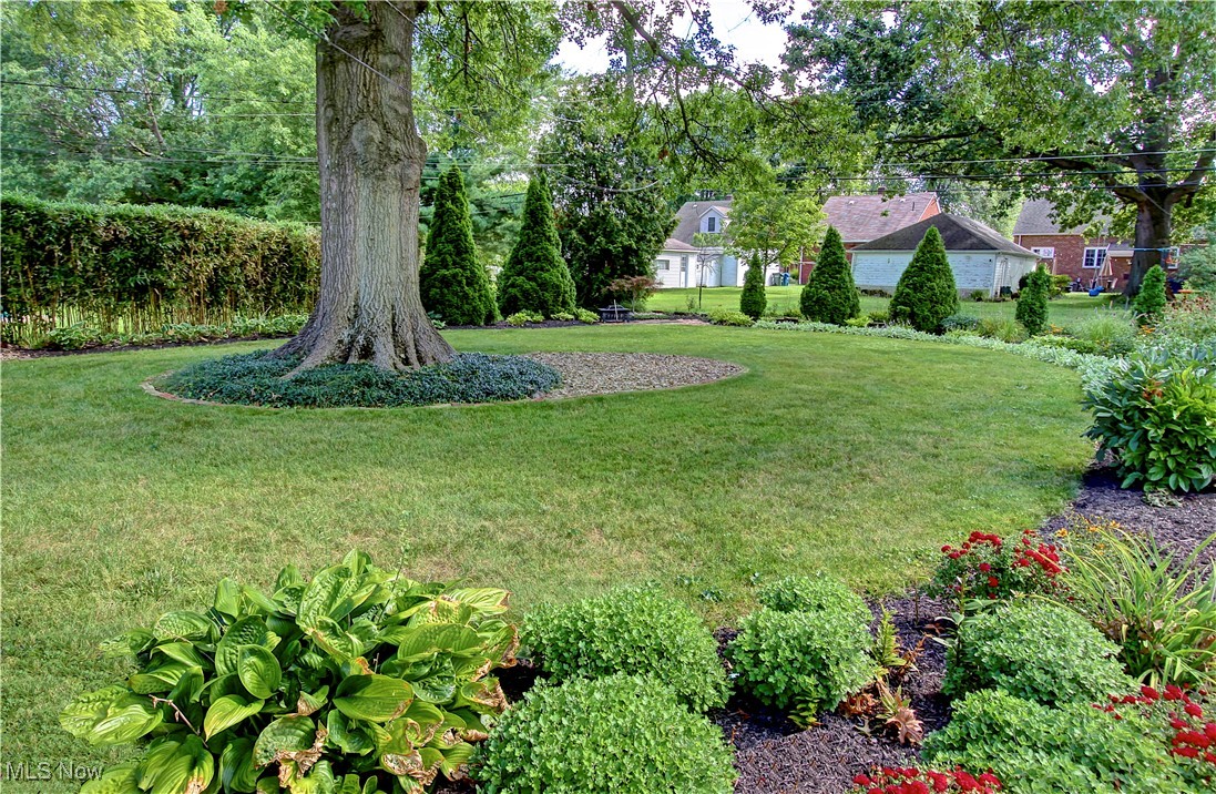 Morningdale Park - Residential