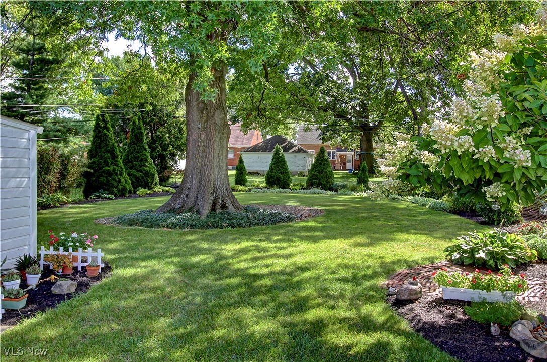 Morningdale Park - Residential