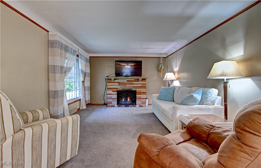 Morningdale Park - Residential