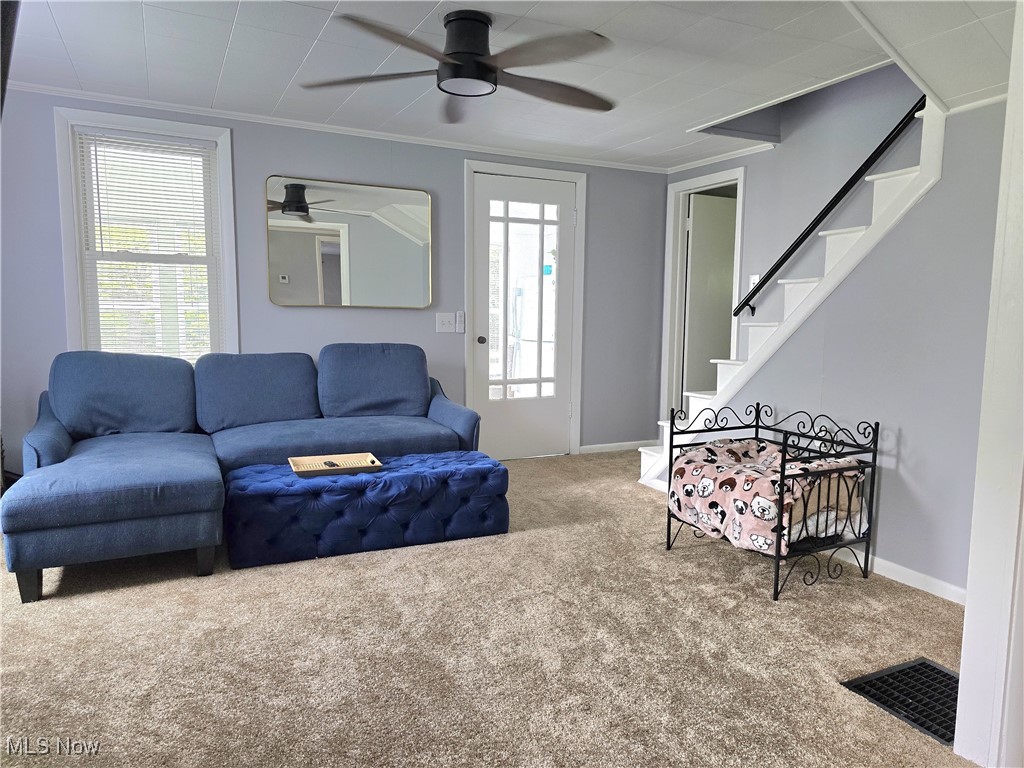 556 Champion Avenue, Warren, Ohio image 8