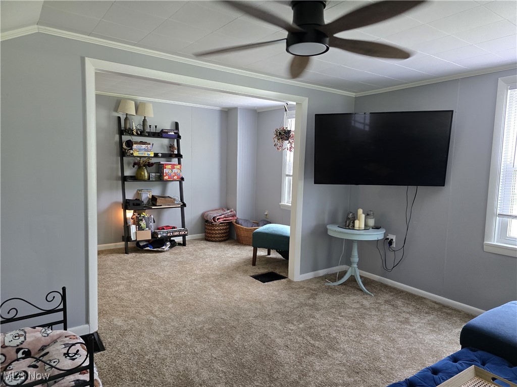 556 Champion Avenue, Warren, Ohio image 10